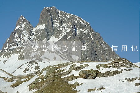 贷款还款逾期  信用记录
